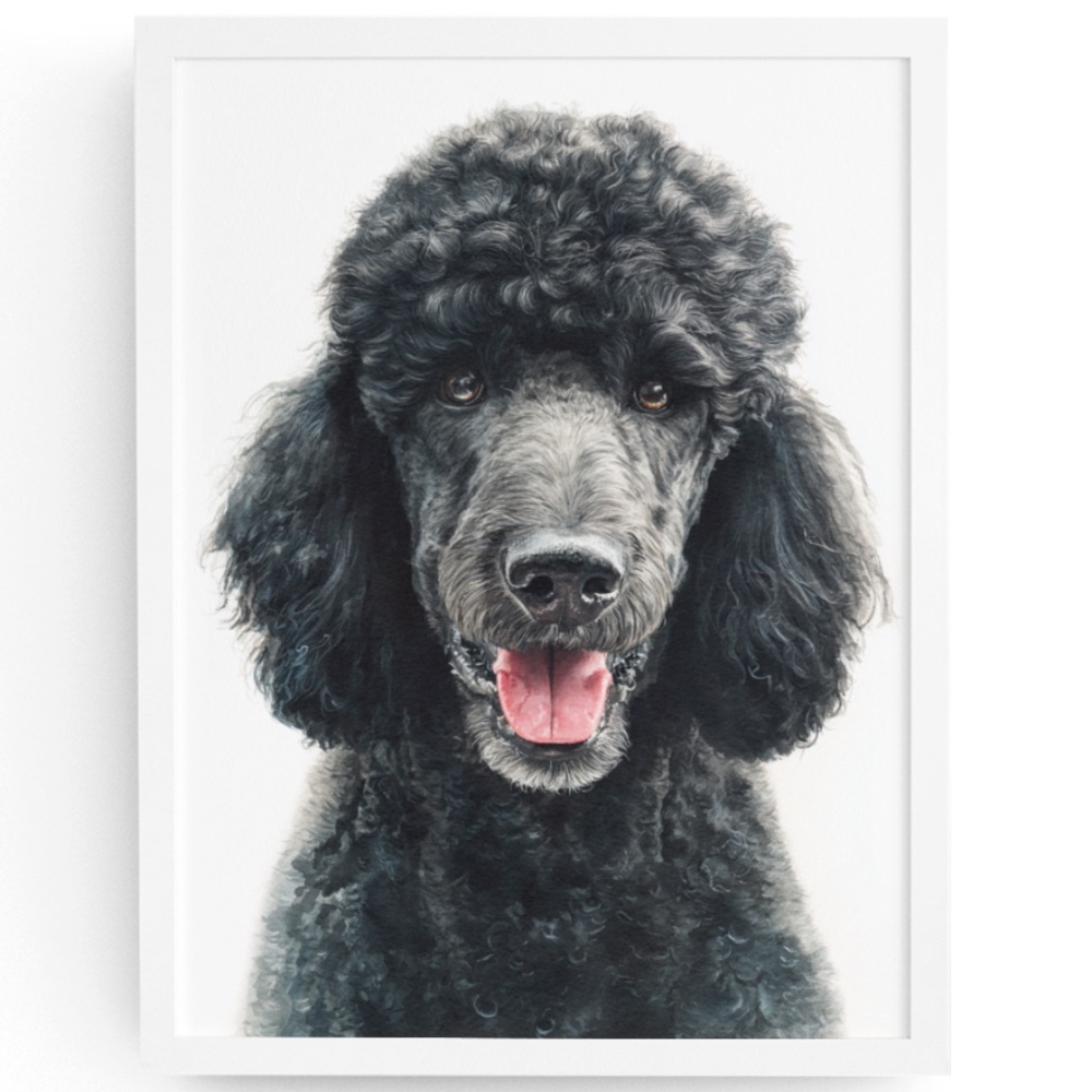 Watercolor Black Poodle Portrait Wall Art Print Poster, Unframed - Pet Artwork